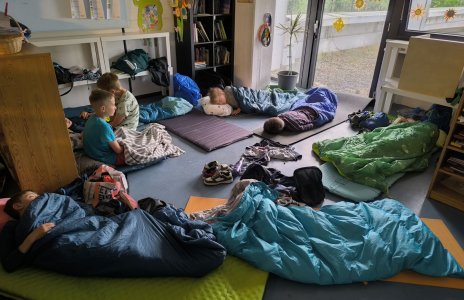 5.6.2025- 6.6.2025 Seehunde, Löwen und Füchse verwandeln sich in Nachteulen