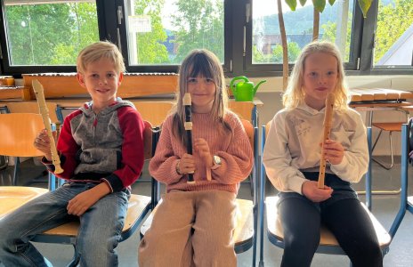 IKARUS Kooperation mit der Musikschule Schriesheim